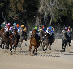 Arena Racing Company case study