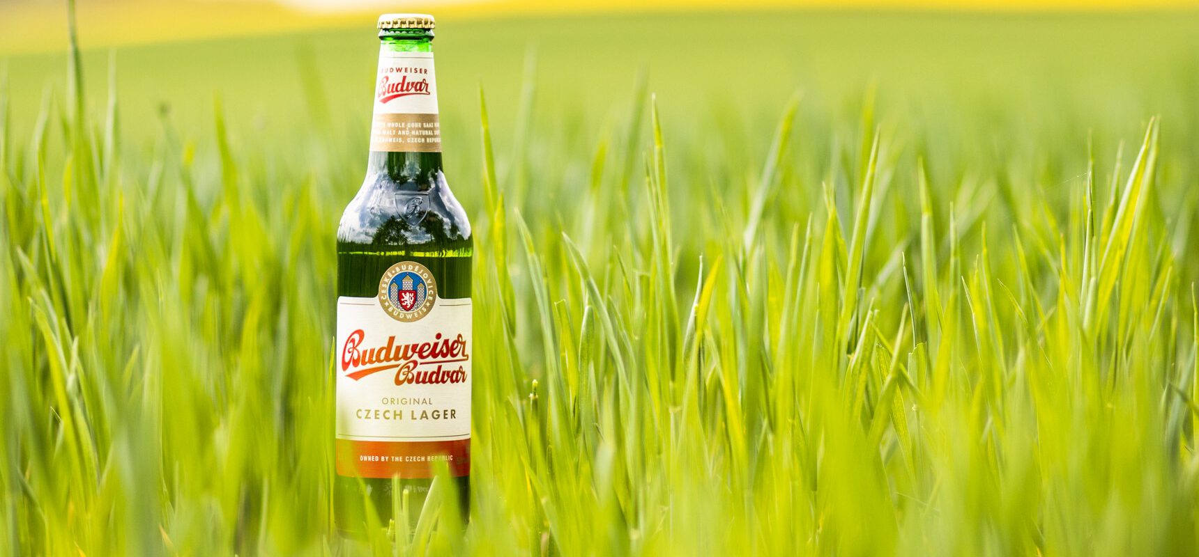 Budvar case study