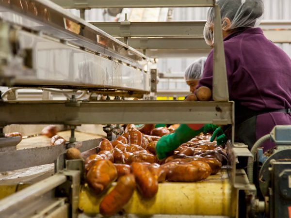 Gerard Family Foods case study