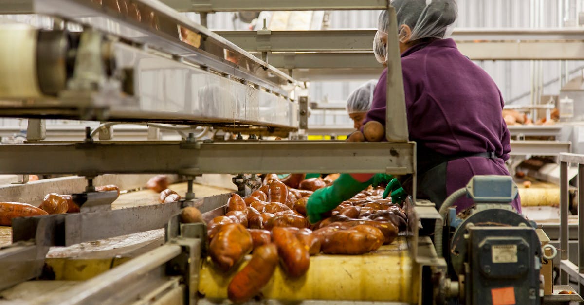 Gerard Family Foods case study