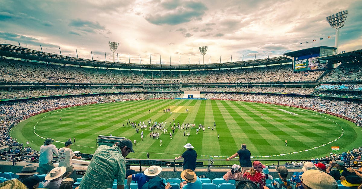 Melbourne Renegades case study