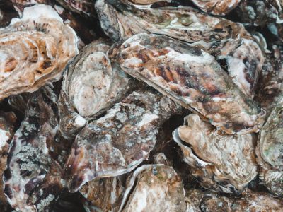 Tasmanian Oyster Co case study