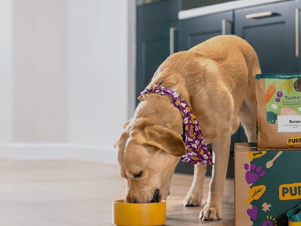 Pure Pet Food case study